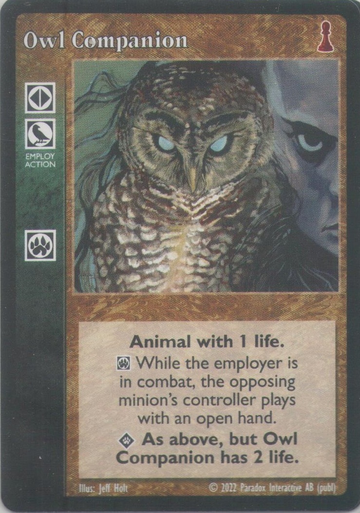 Owl Companion